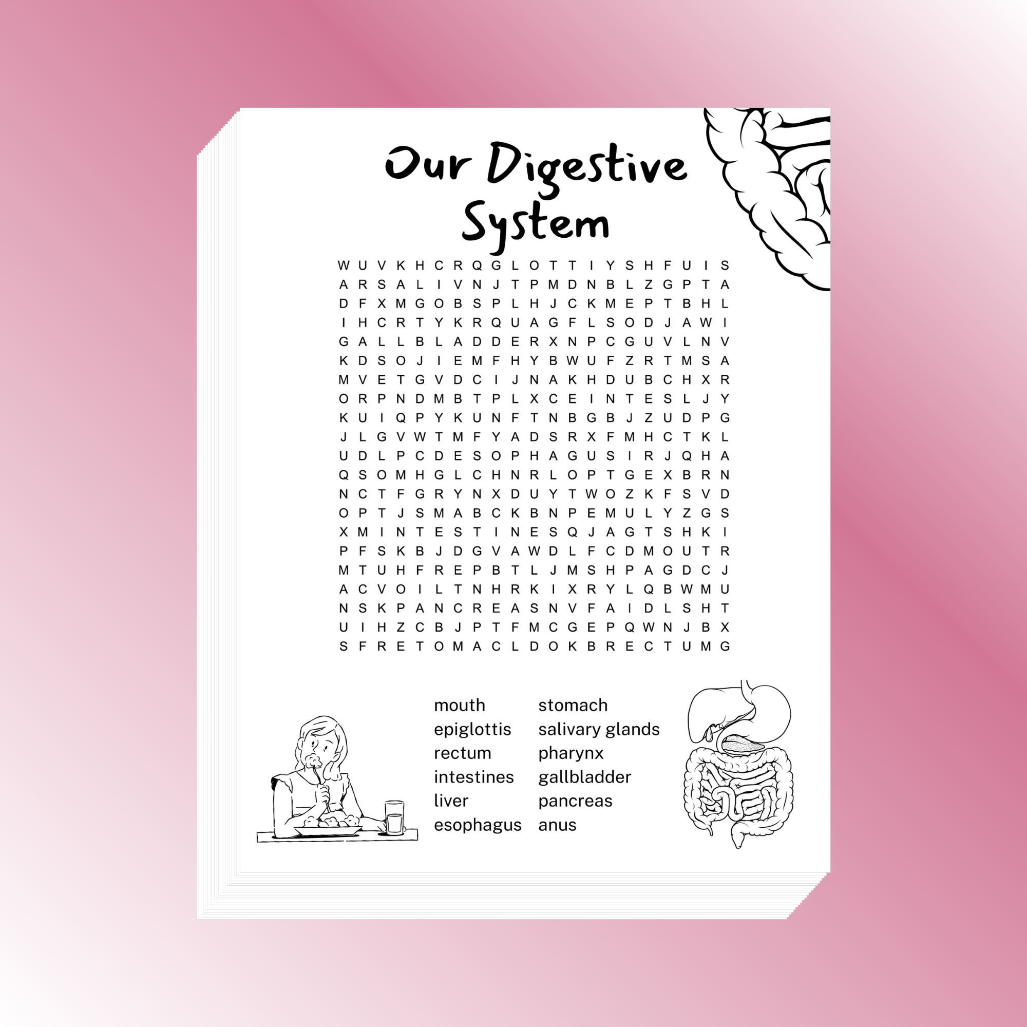 Digestive System Word Search