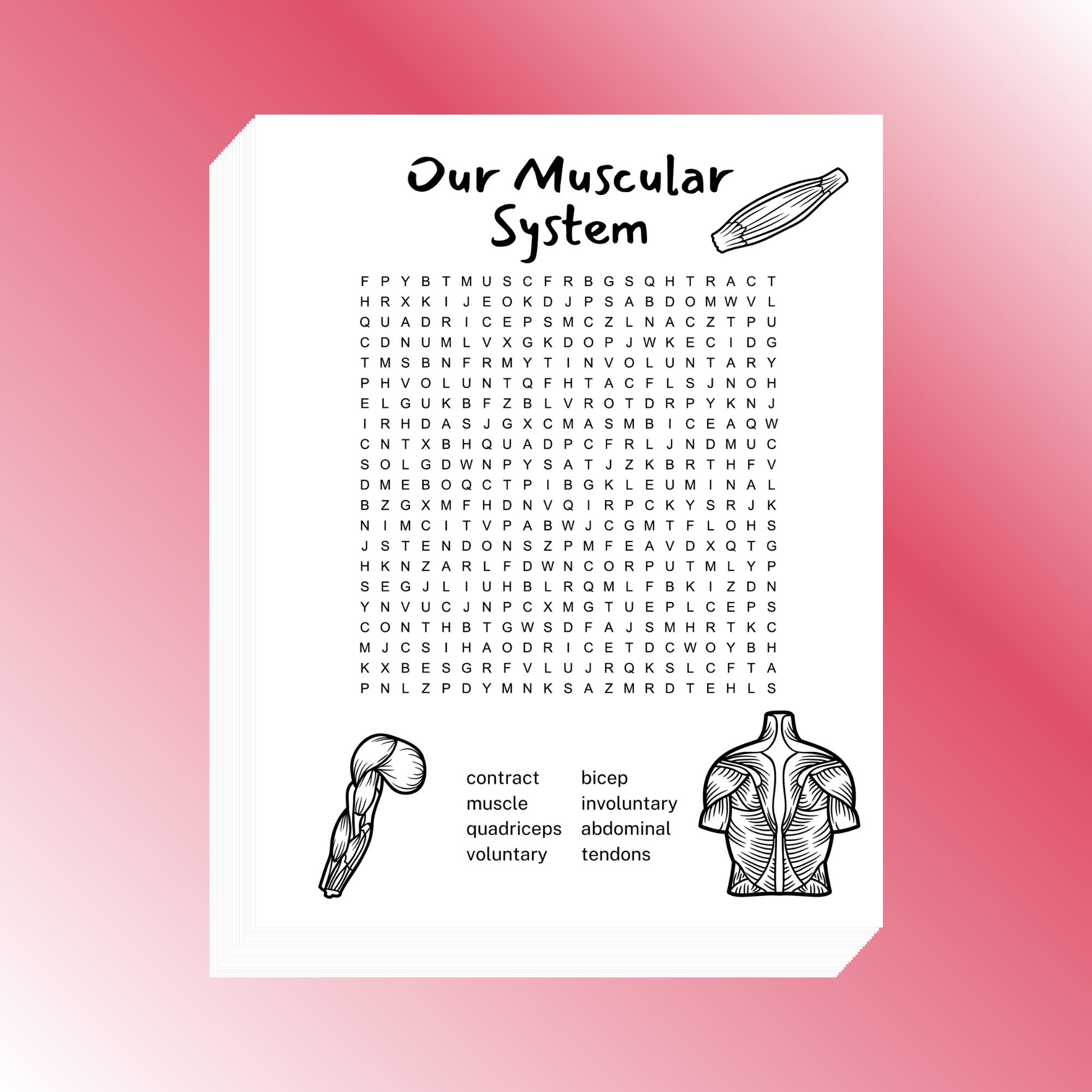 Muscular System Word Search